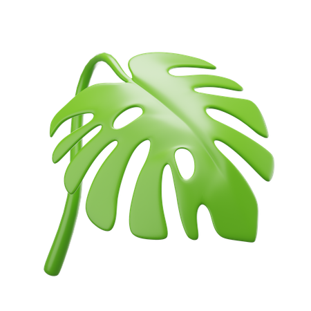 Monstera Deliciosa  3D Icon