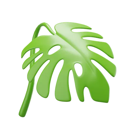 Monstera Deliciosa  3D Icon