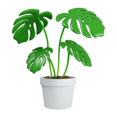 Monstera en maceta  3D Icon