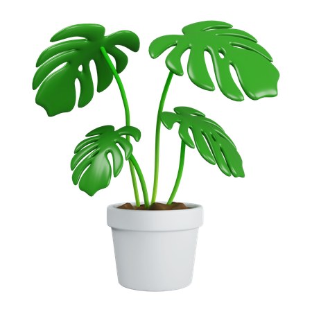 Monstera In Plant Pot  3D Icon
