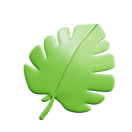 Monstera Leaf  3D Icon