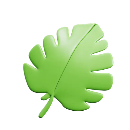 Monstera Leaf  3D Icon