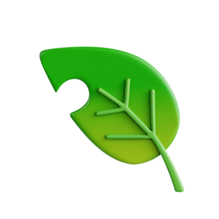 Monstera Leaf  3D Icon