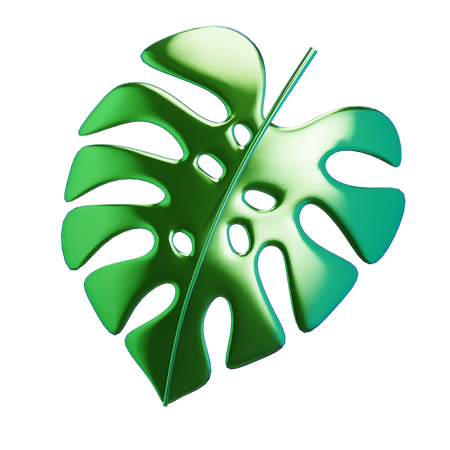 Monstera Leaf 3D Icon