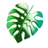 3d monstera leaf emoji