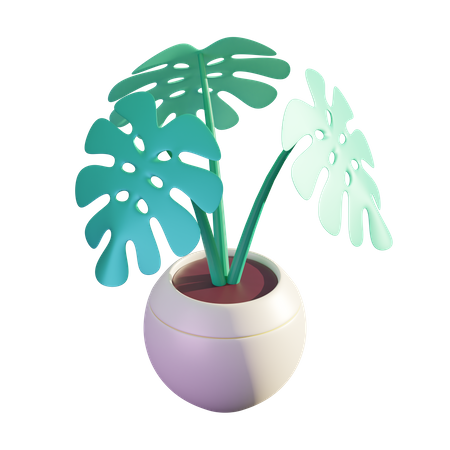 Monstera-Pflanze  3D Illustration