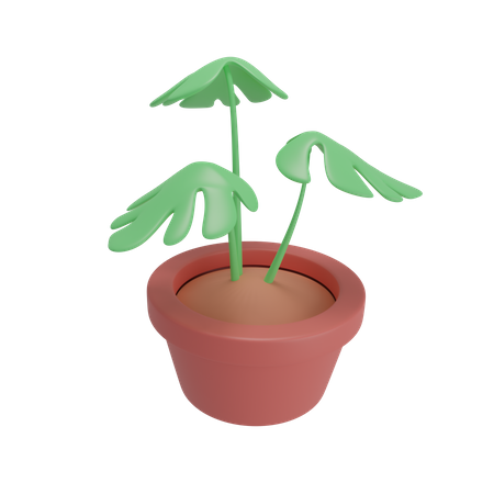 Monstera-Pflanze  3D Illustration