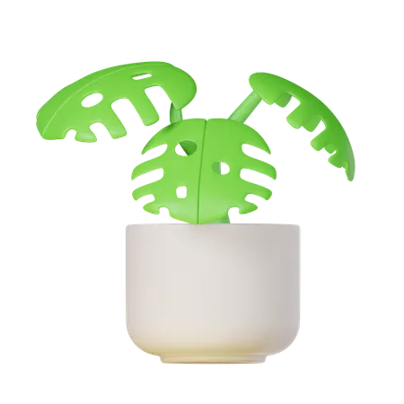 Monstera Plant  3D Icon