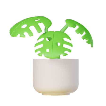Monstera Plant  3D Icon