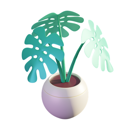 Monstera Plant  3D Illustration