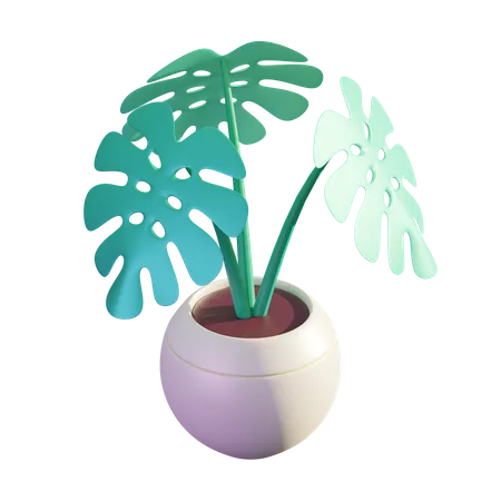 Monstera Plant  3D Illustration