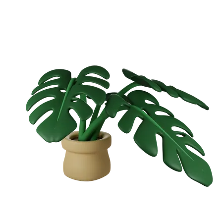 Monstera Plant  3D Illustration