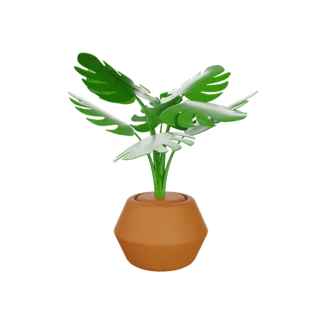 Monstera Plant 3D Illustration