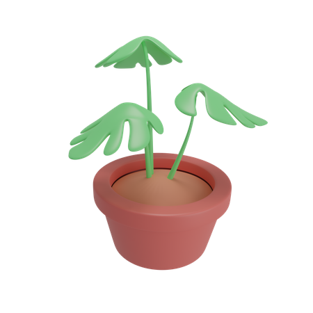 Monstera plant  3D Illustration