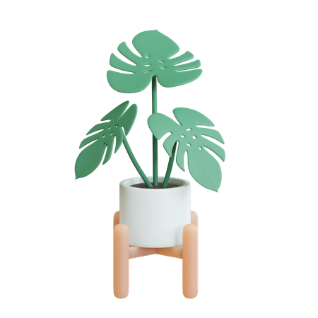 Monstera Pot  3D Icon