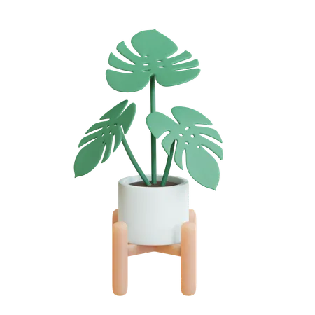 Monstera Pot  3D Icon