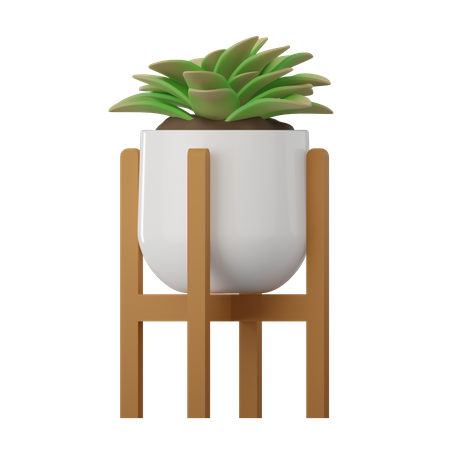 Morgan Plant  3D Icon