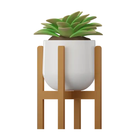 Morgan Plant  3D Icon