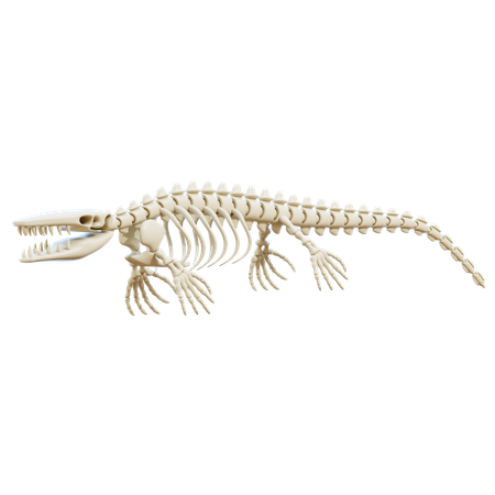 Mosasaurus  3D Icon