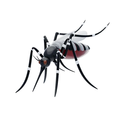 Mosquito  3D Icon