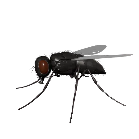 Mosquito  3D Icon