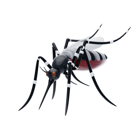 Mosquito  3D Icon