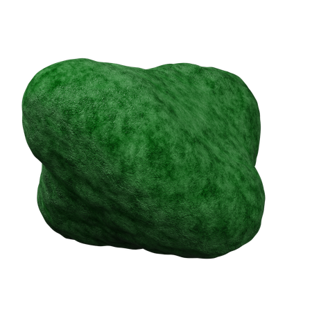 Moss Stone  3D Icon