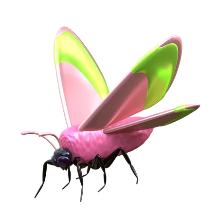 Moth 3 D Insect Illustration 3D Icon