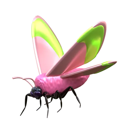 Moth  3D Icon