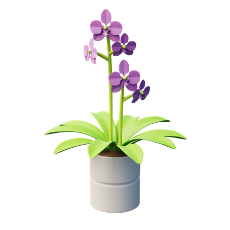 Motte Orchidee Pflanze  3D Icon