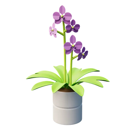 Motte Orchidee Pflanze  3D Icon