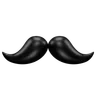 Moustache