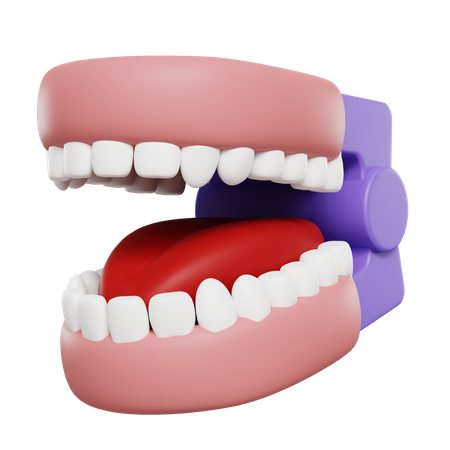 Mouth Model  3D Icon