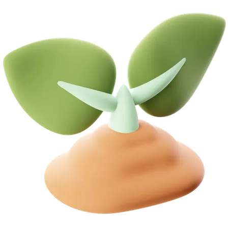 Plantinha  3D Icon