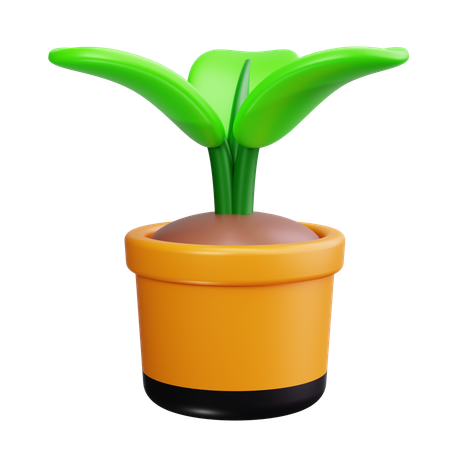 Plantinha  3D Icon