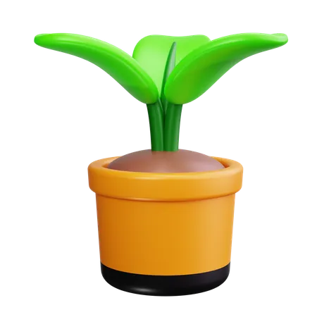 Plantinha  3D Icon