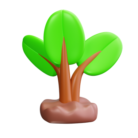 Plantinha  3D Icon