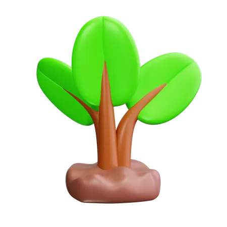 Plantinha  3D Icon