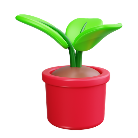 Plantinha  3D Icon