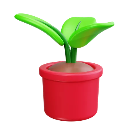 Plantinha  3D Icon