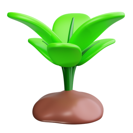 Plantinha  3D Icon