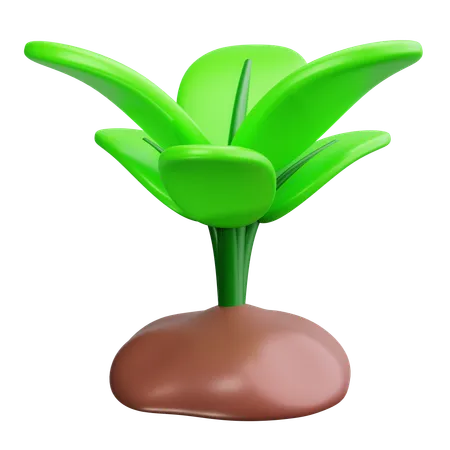 Plantinha  3D Icon