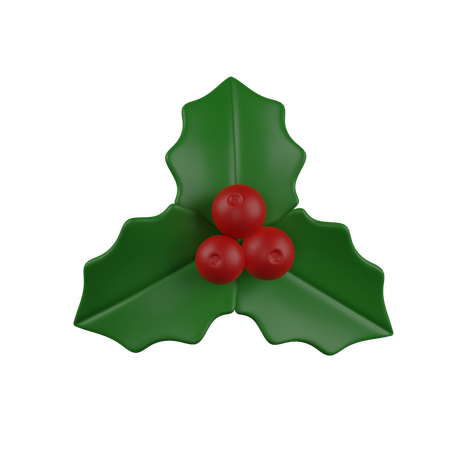 Baya de muérdago  3D Icon