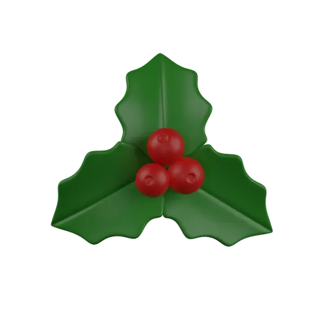 Baya de muérdago  3D Icon