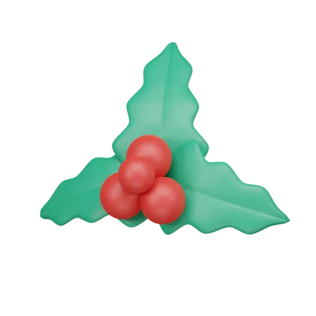 Muérdago de navidad  3D Icon