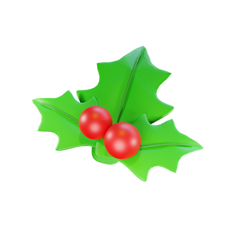 Muérdago de navidad  3D Icon