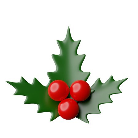 Muérdago de navidad  3D Icon