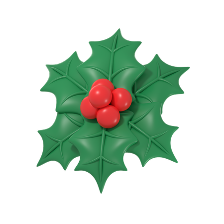 Muérdago de navidad  3D Icon