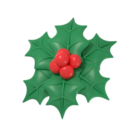 Muérdago de navidad  3D Icon