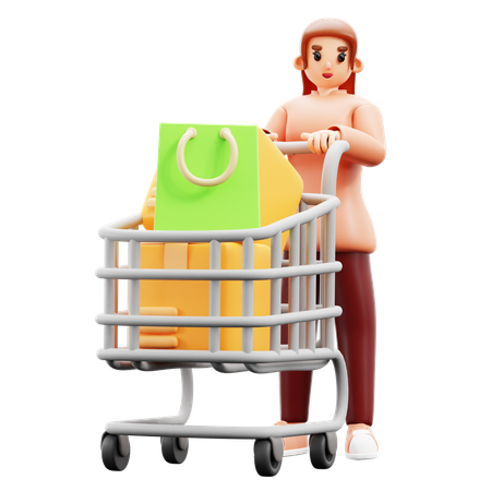 Mujer con carrito de compras  3D Illustration